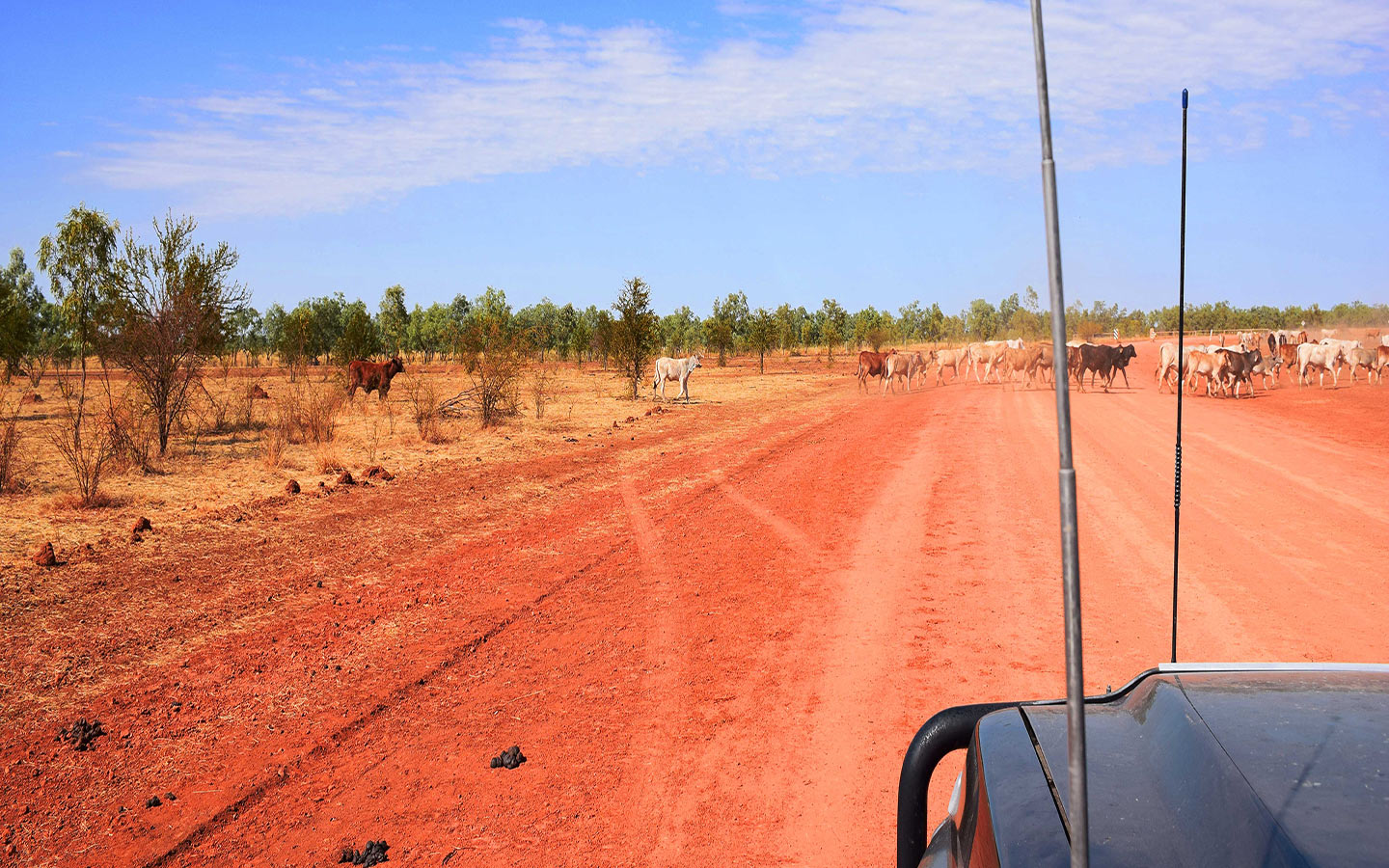 Gibb River Road dans les Kimberley, au Nord de l'Australie