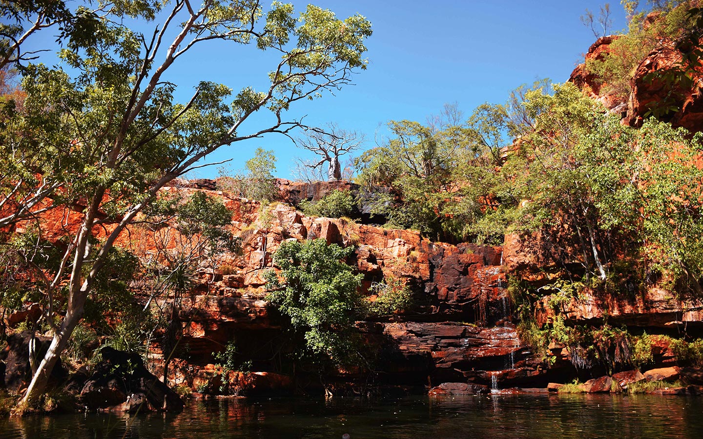 Gorge dans les Kimberley le long de la Gibb River Road