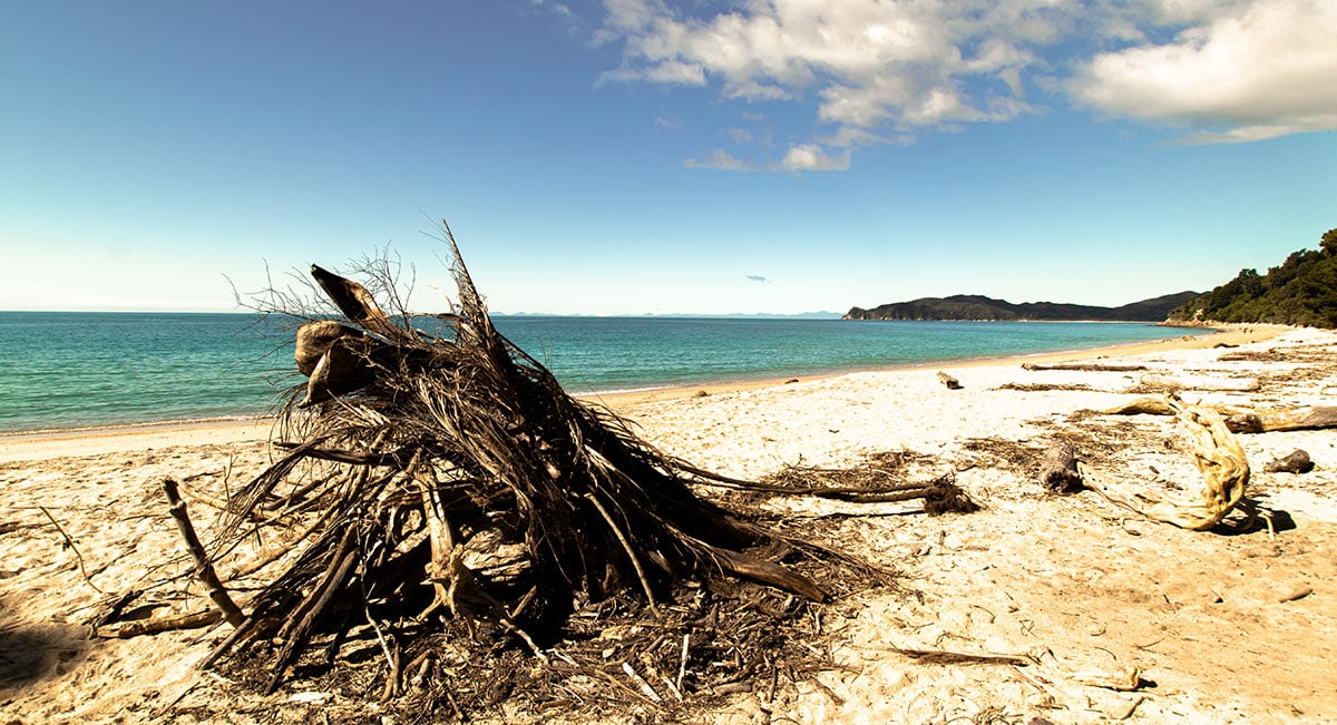 Plage le long d'Abel Tasman Coastal Track en Nouvelle Zélande sur l'île du Sud