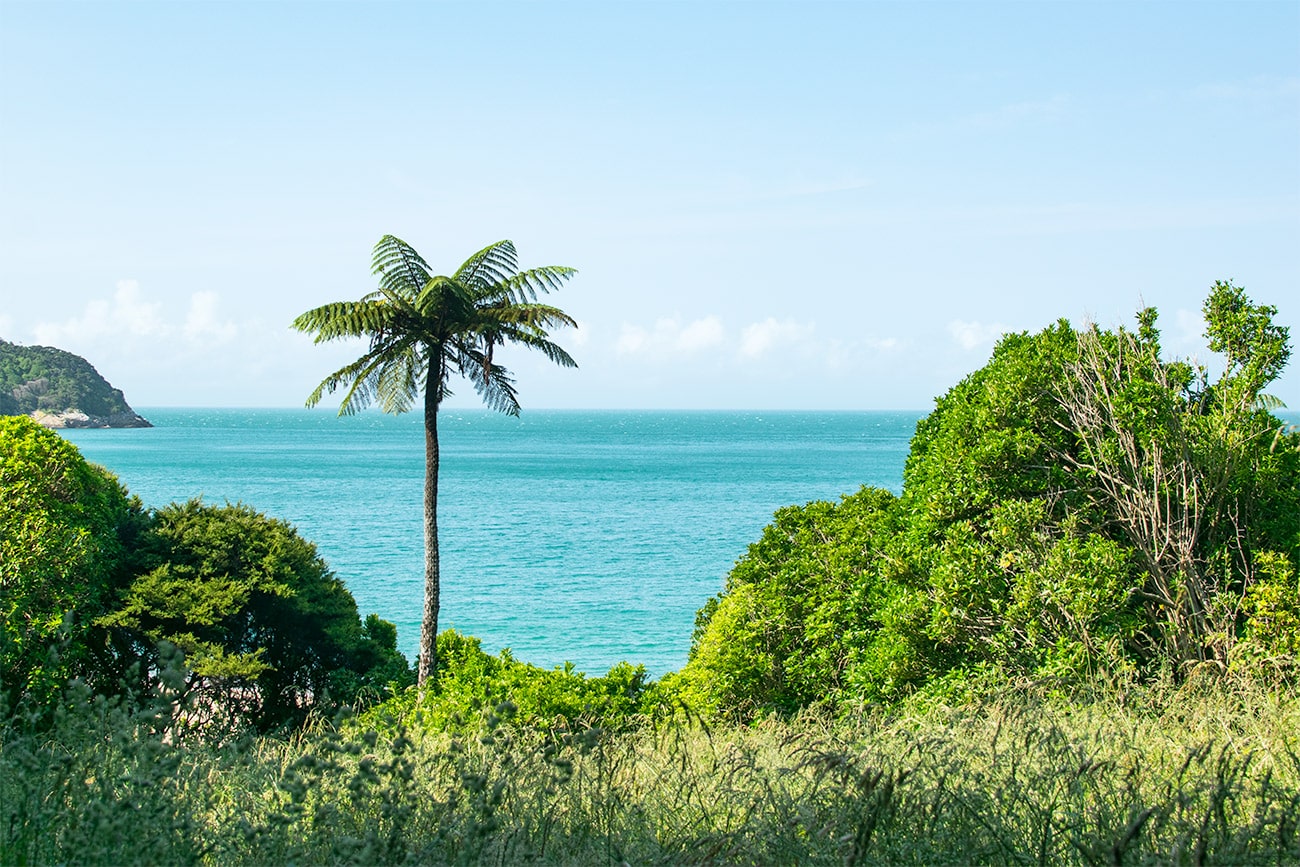 Paysage d'une plage au milieu de la forêt tropicale du parc national Abel Tasman sur l'île du Sud de Nouvelle-Zélande