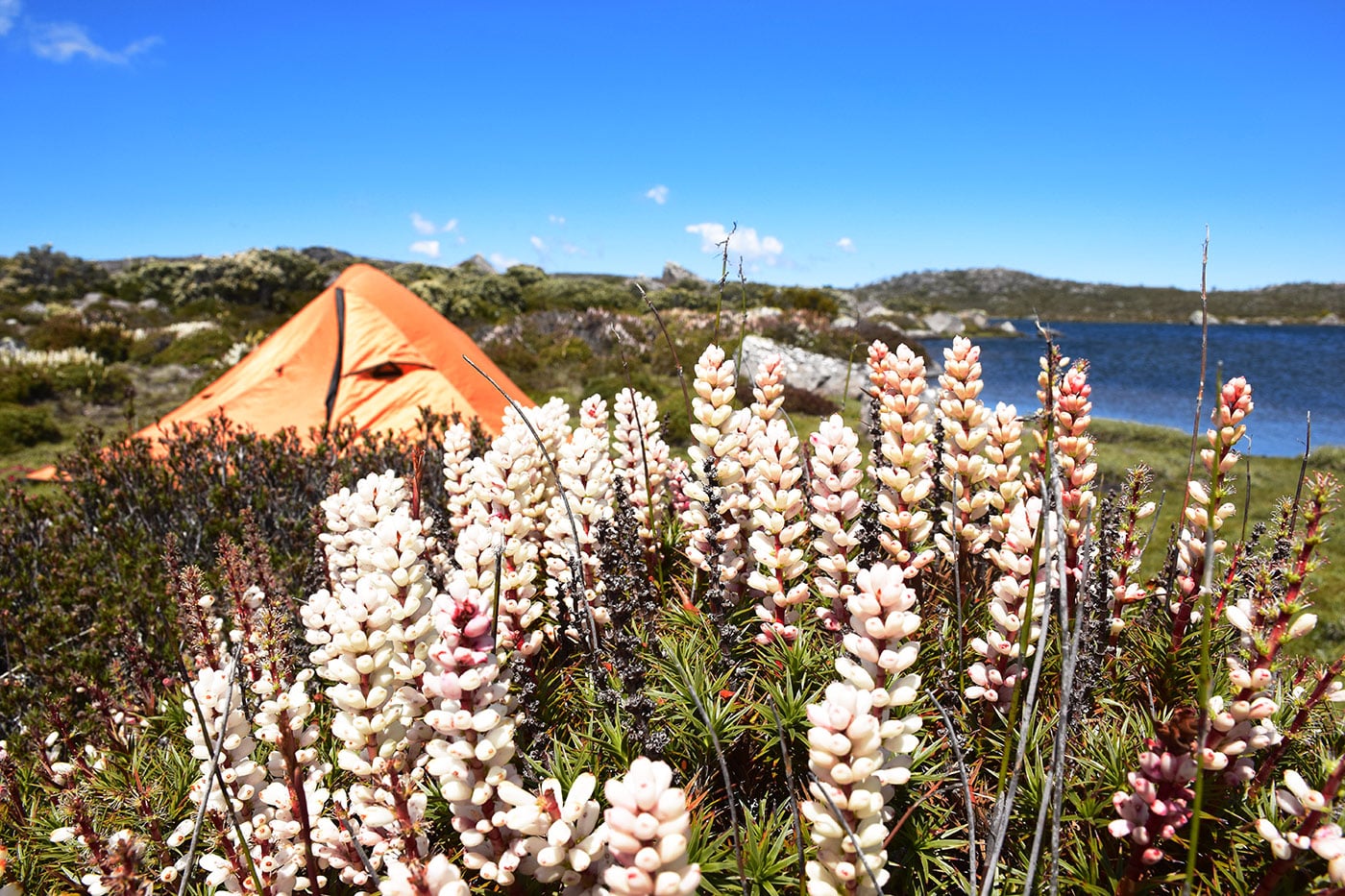 Camping lors d'une randonnée en pleine nature