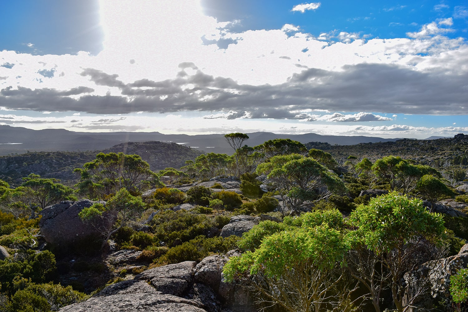 Paysage magnifique de l'ile de Tasmanie