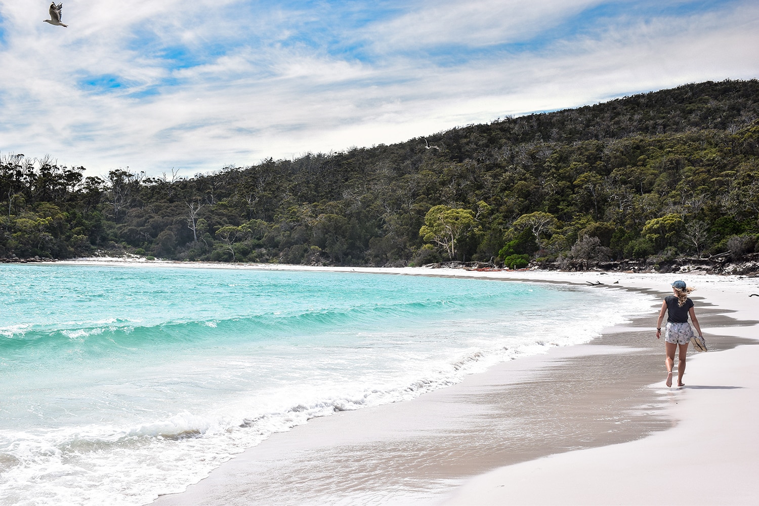 Plage de Wineglass Bay dans le parc national de Freycinet en Tasmanie