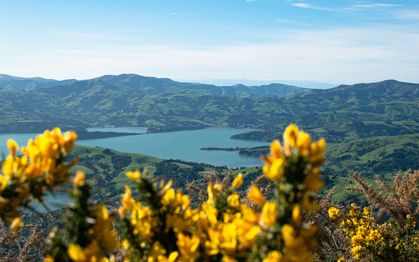 Randonnée à Akaroa en Nouvelle-Zélande panorama splendide