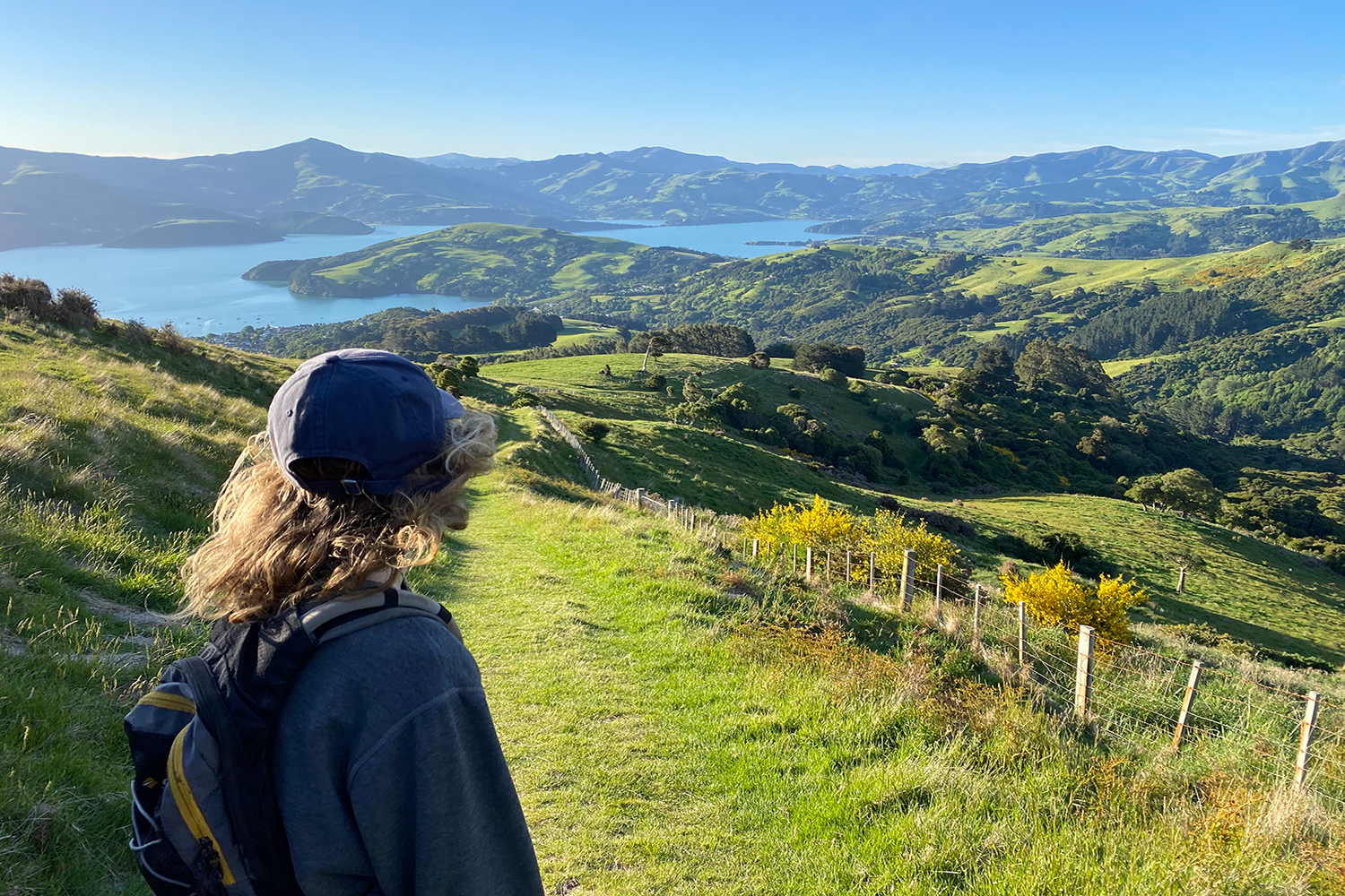 Akaroa péninsule de Banks à voir absolument lors d'un voyage en Nouvelle Zélande