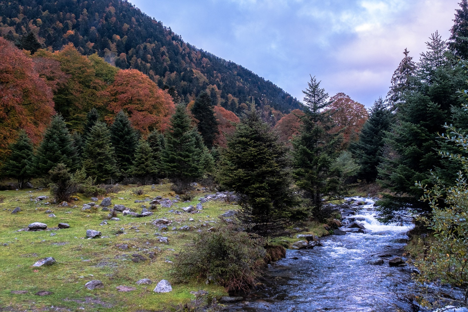 Vallée de l'Adour de Lesponne 