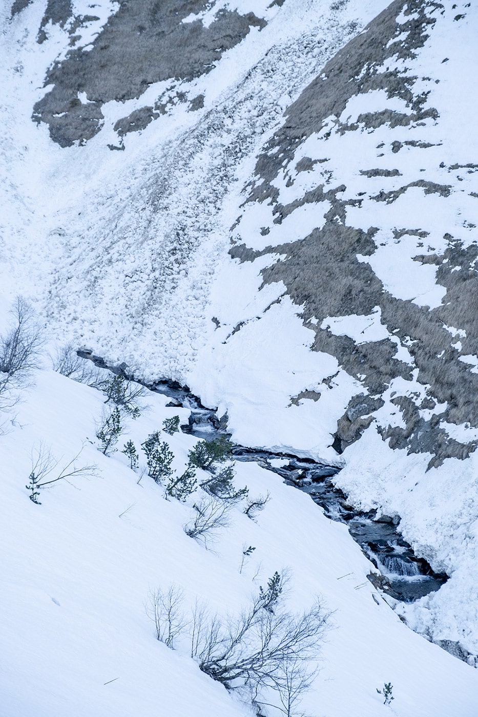 avalanche randonnée en raquettes