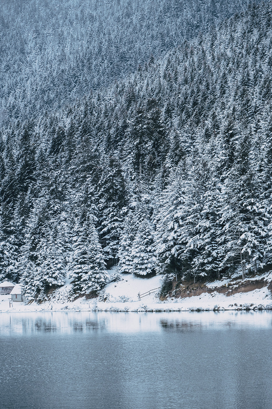 Lac de Payolle en hiver