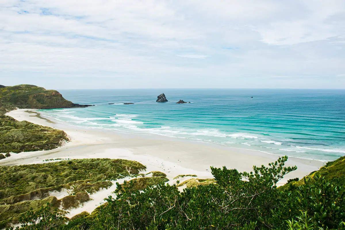 Plage de sandfly bay, voyage en Nouvelle-Zélande