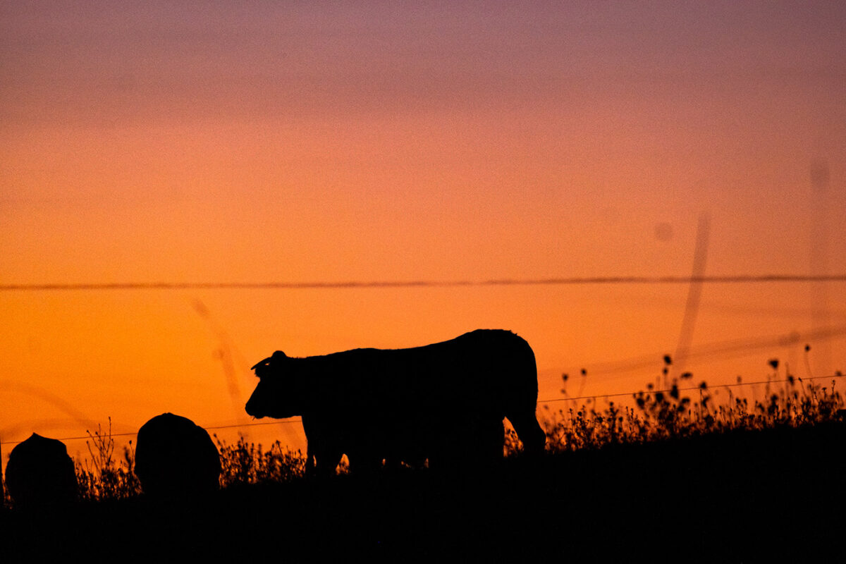 Paysage des Hautes-Pyrénées au coucher du soleil