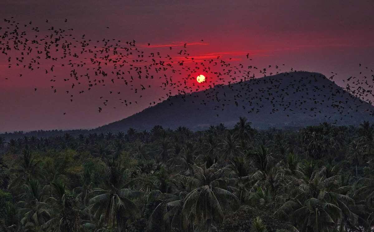 Coucher de soleil sublime asie du sud est blog de voyage