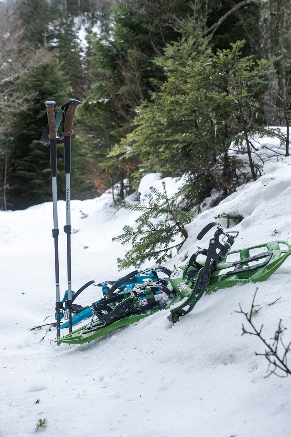 Raquettes à neige et bâtons pour randonnée