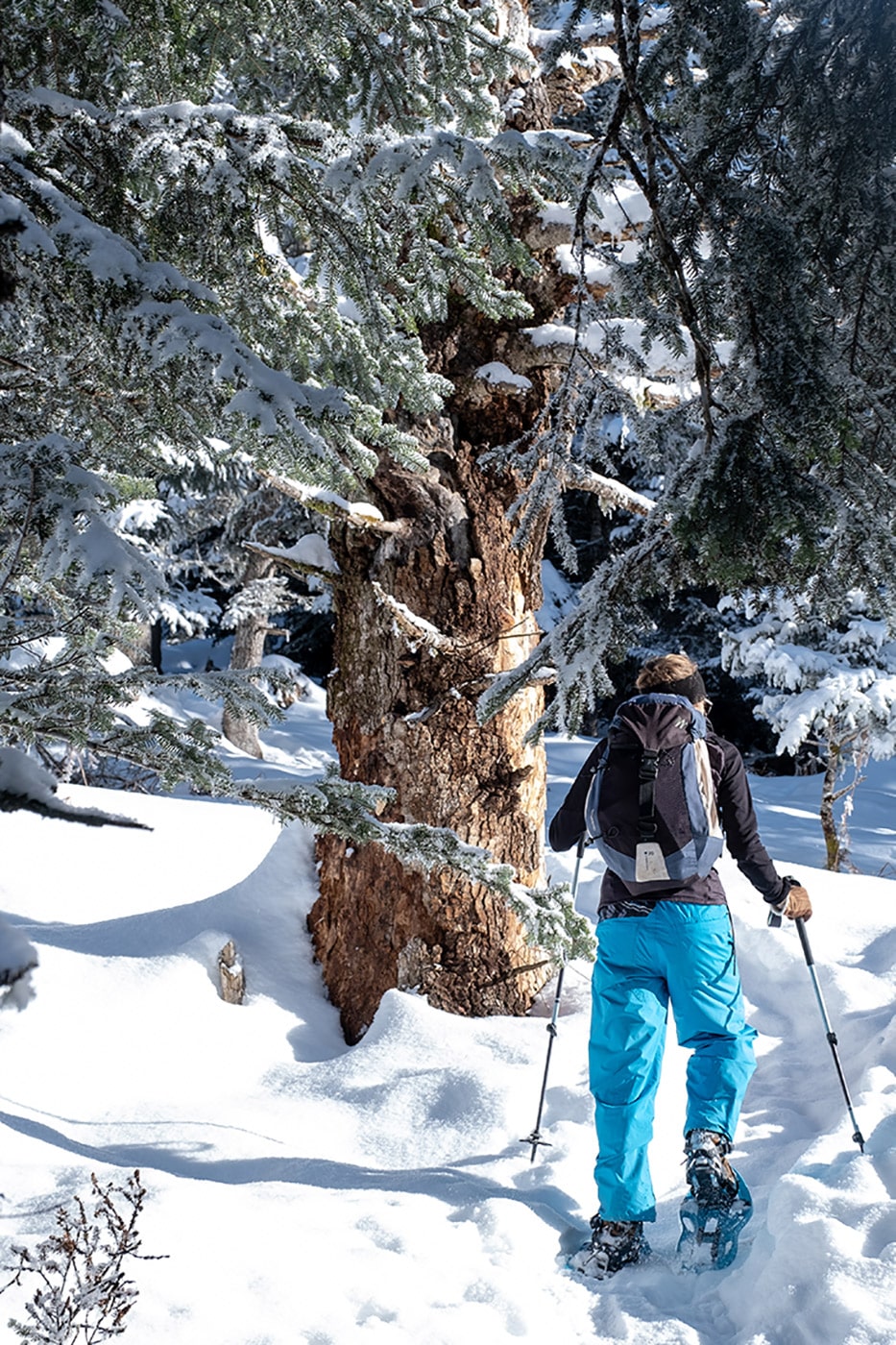 Pantalon de ski pour randonnée en raquettes