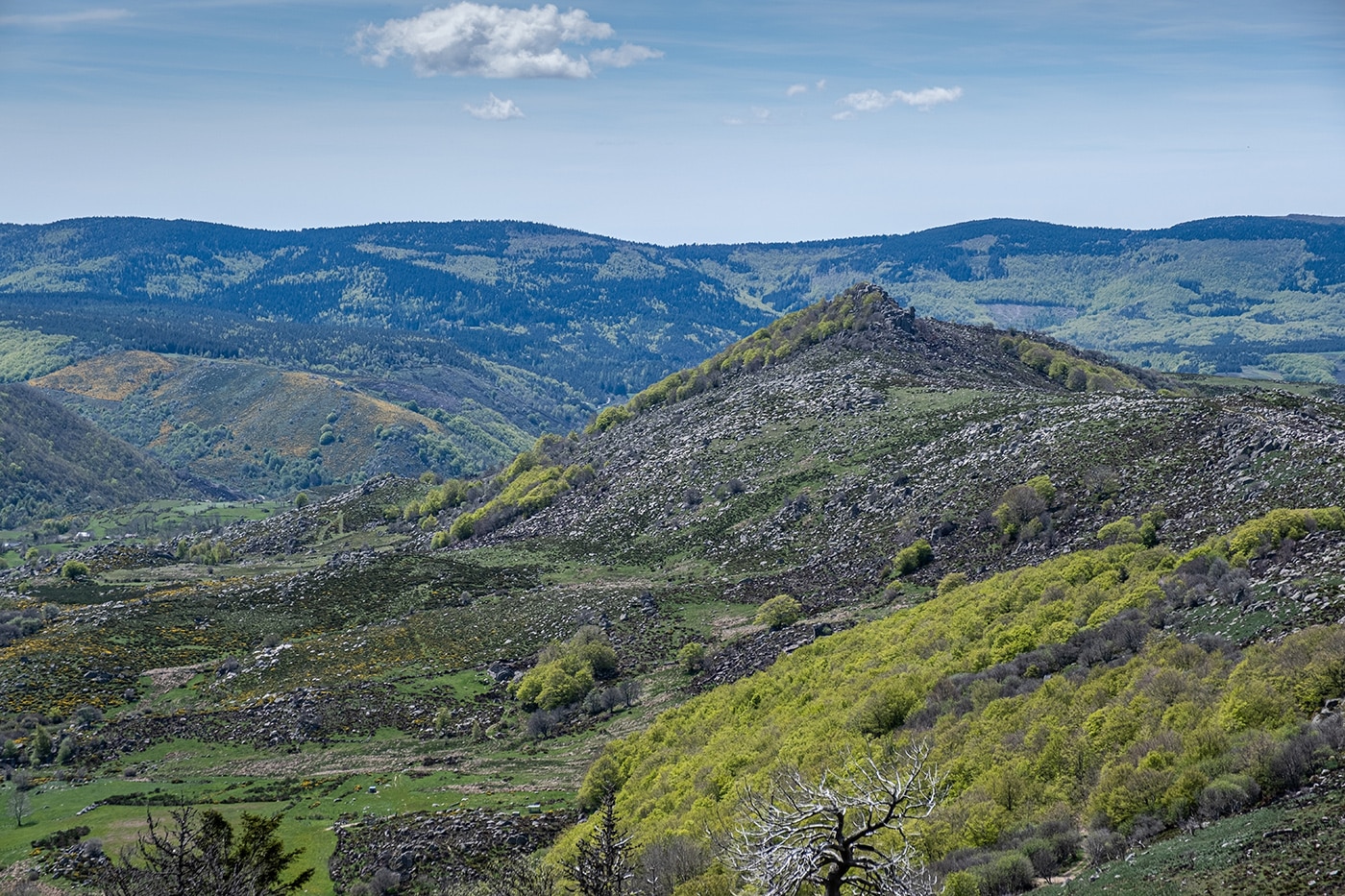 Paysage du Mont-Lozère à Finiels