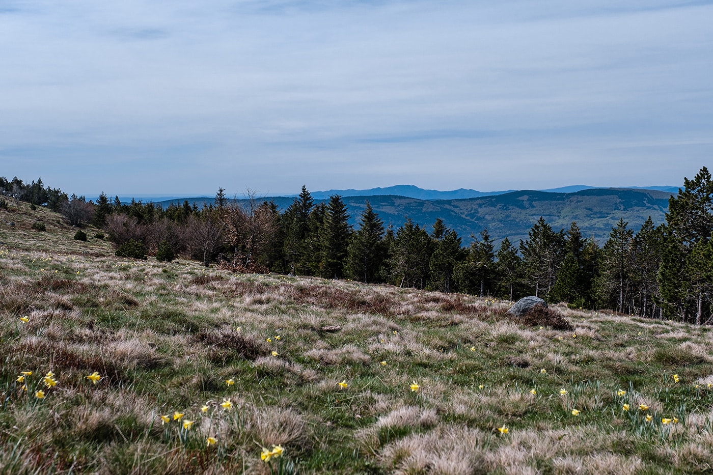 Plateau du Mont Lozère sommet de Finiels randonnée