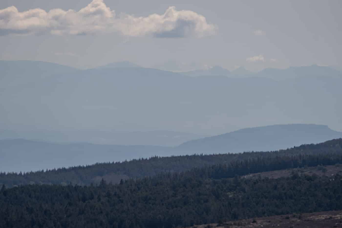 Vue du sommet du Mont Lozère