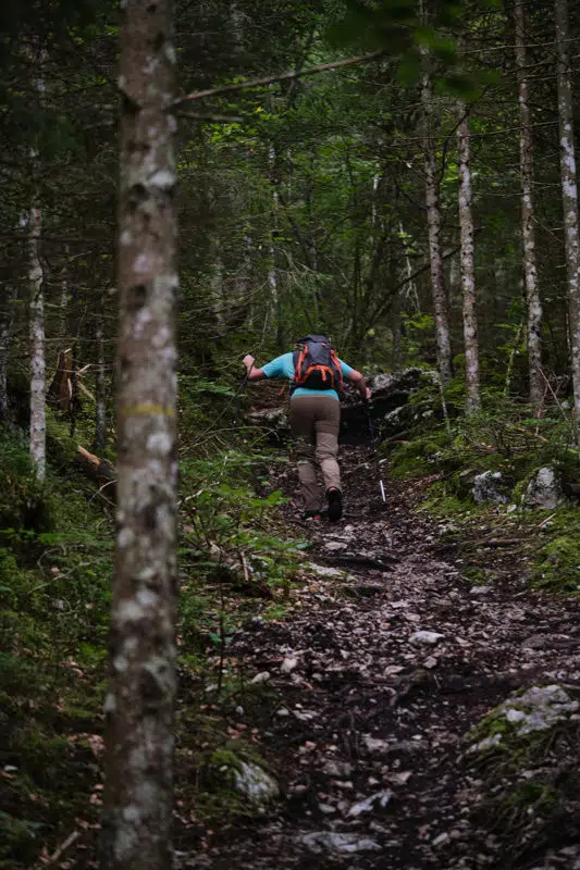 Randonnée dans la foret du Jura au recultet et crêt de la neige