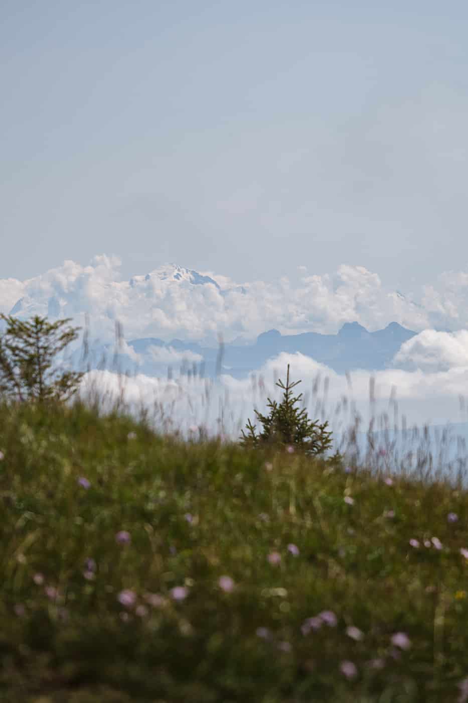 Vue sur le lac léman depuis le Crêt de la Neige