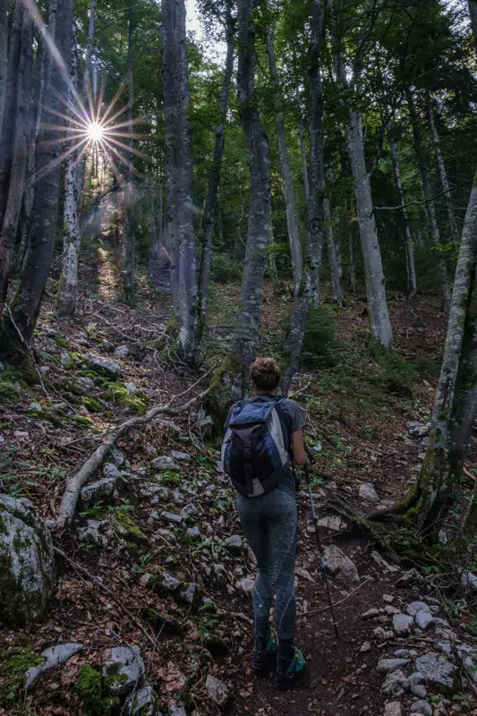 Forêt du Jura en direction du Crêt de la Neige