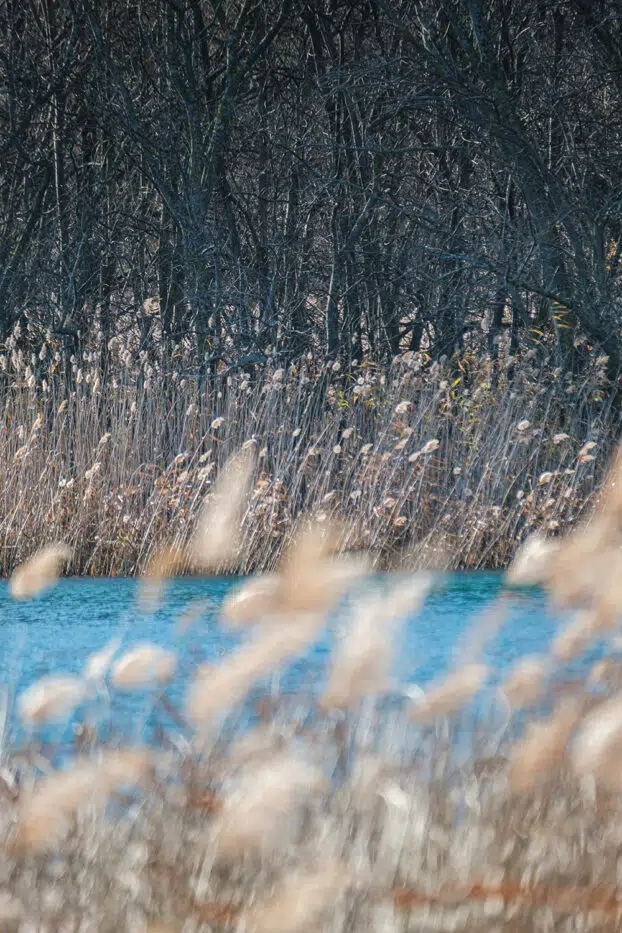 Visiter le parc national de Krka en Croatie