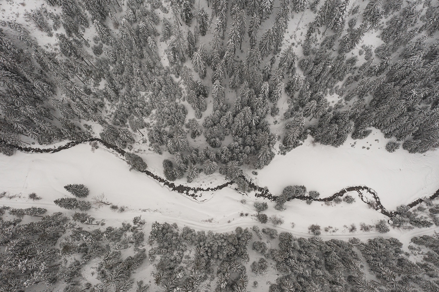 Neige dans les Rhodopes en Bulgarie