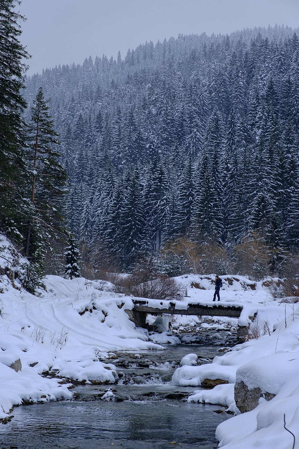 Voyage en Bulgarie : randonnée dans les Rhodopes