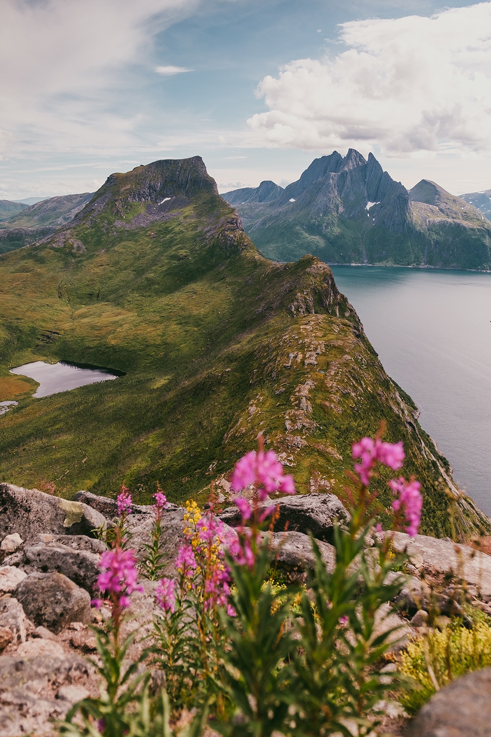 Ile de Senja en Norvège sommet de Segla