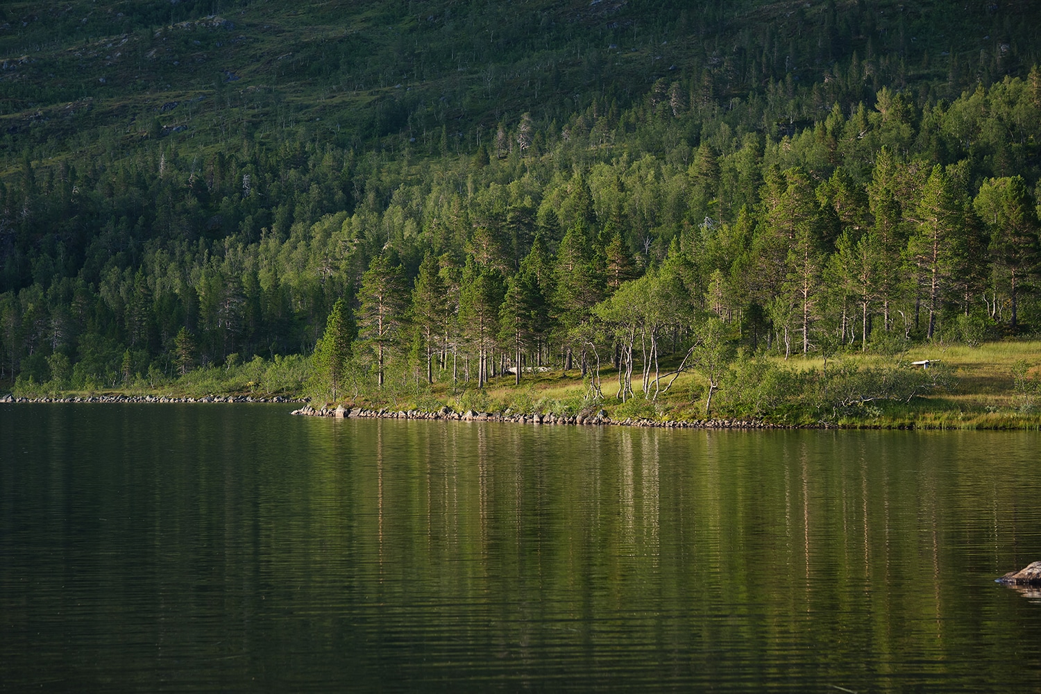 île de Senja Norvège