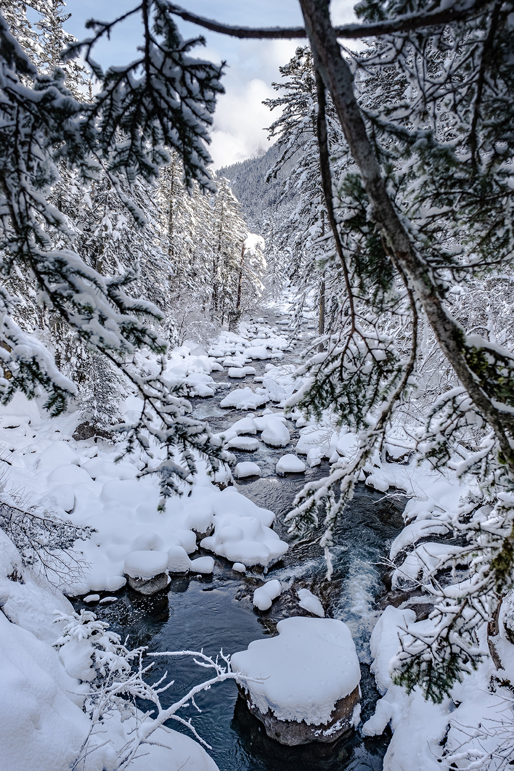 Paysage Pyrénées hiver 