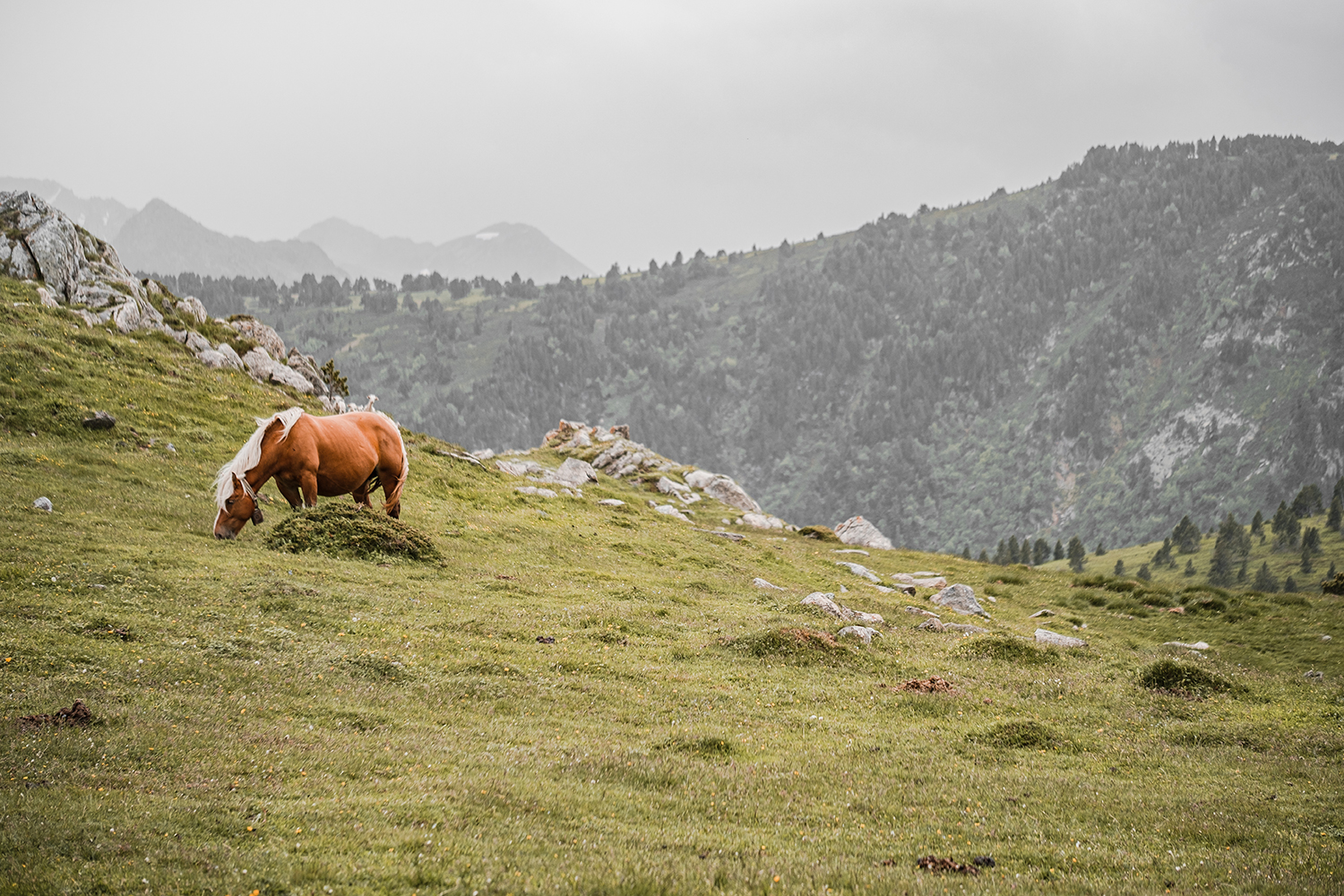 Vacances en Ariège dans les Pyrénées