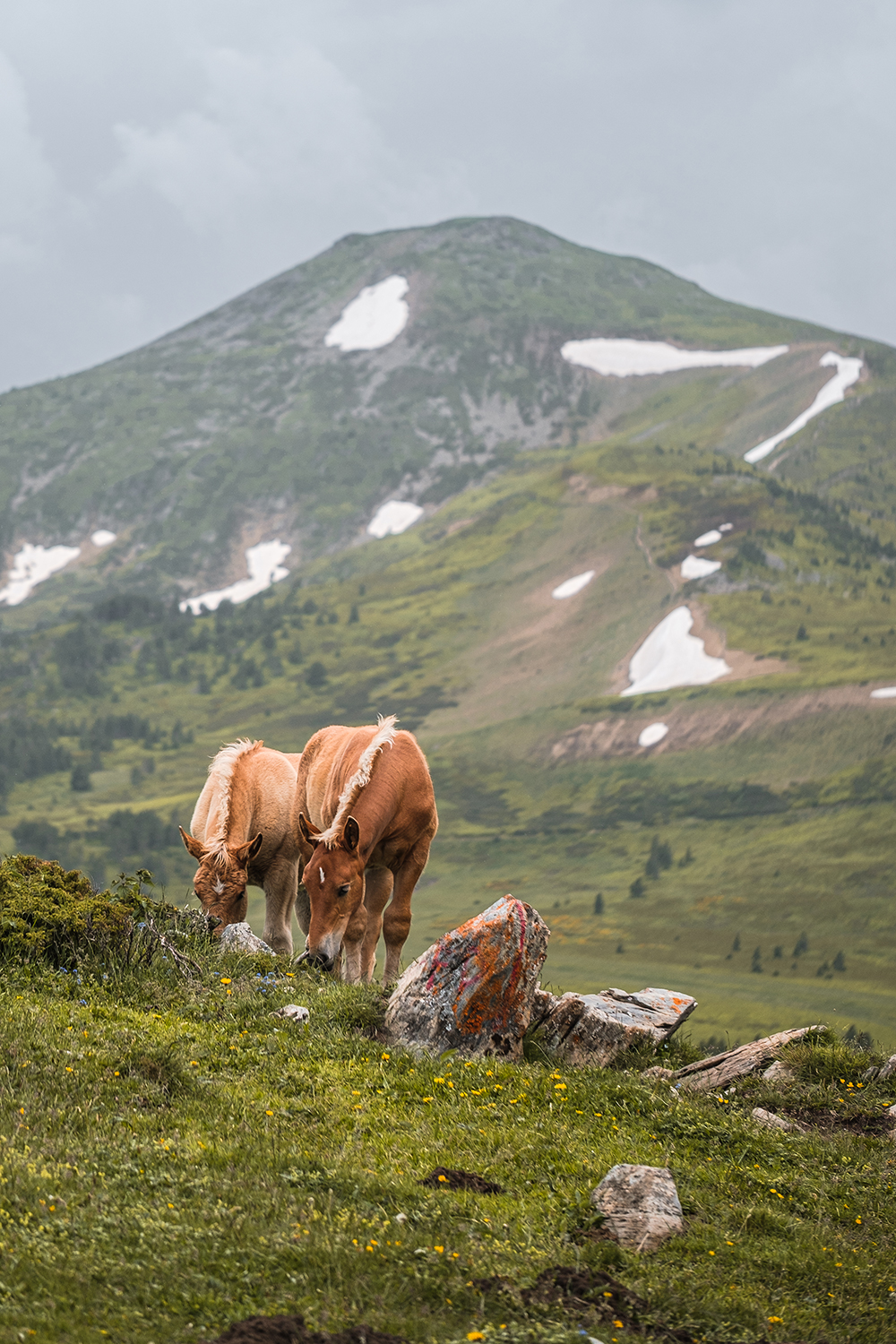 Vacances en Ariège dans les Pyrénées