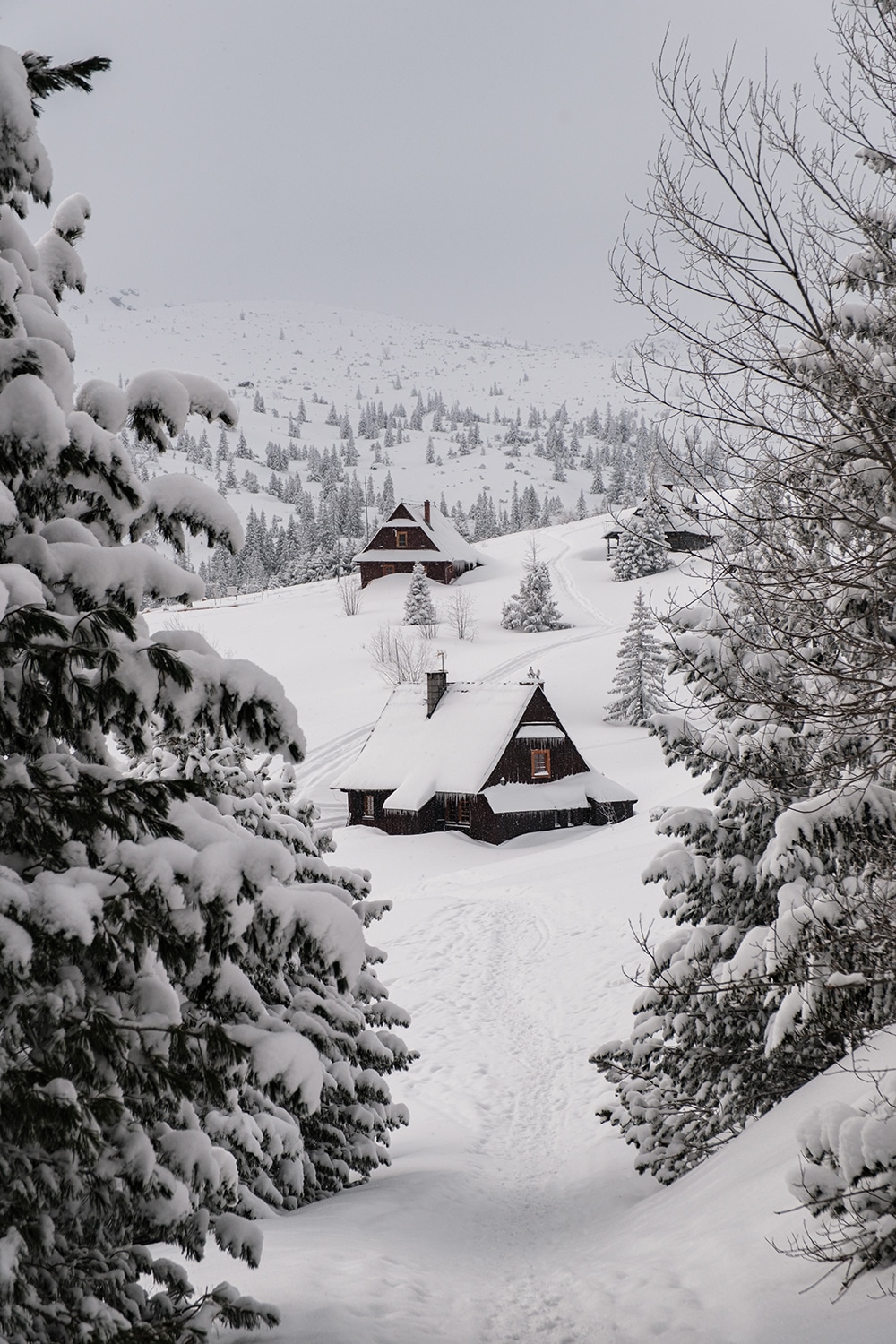 Visiter Zakopane et les chalets de montagne