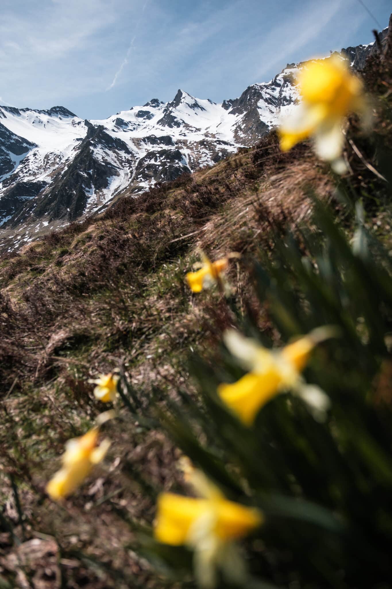 Moun Né depuis le Cabaliros